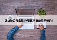 区块链公司是骗子吗[区块链公司干嘛的]